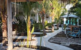 Palm Trees Villas